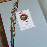 Robin's Eggs- Custom Bookplate
