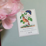 Birds, Berries & Butterflies- Custom Bookplate