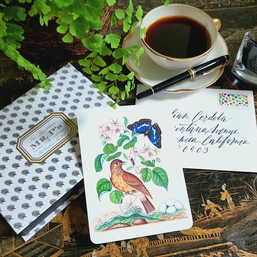 video of Illustrated note Card with a bird and butterfly design on a chinoiserie table with a montblanc teacup and pen.