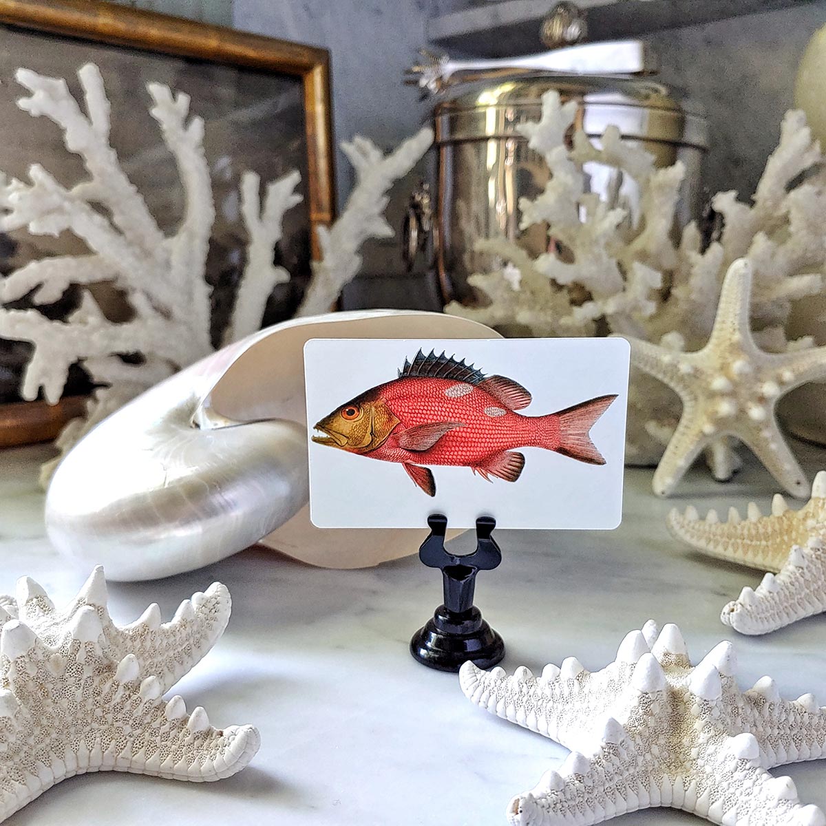 Set/ 16 Snapper Fish Themed custom place cards