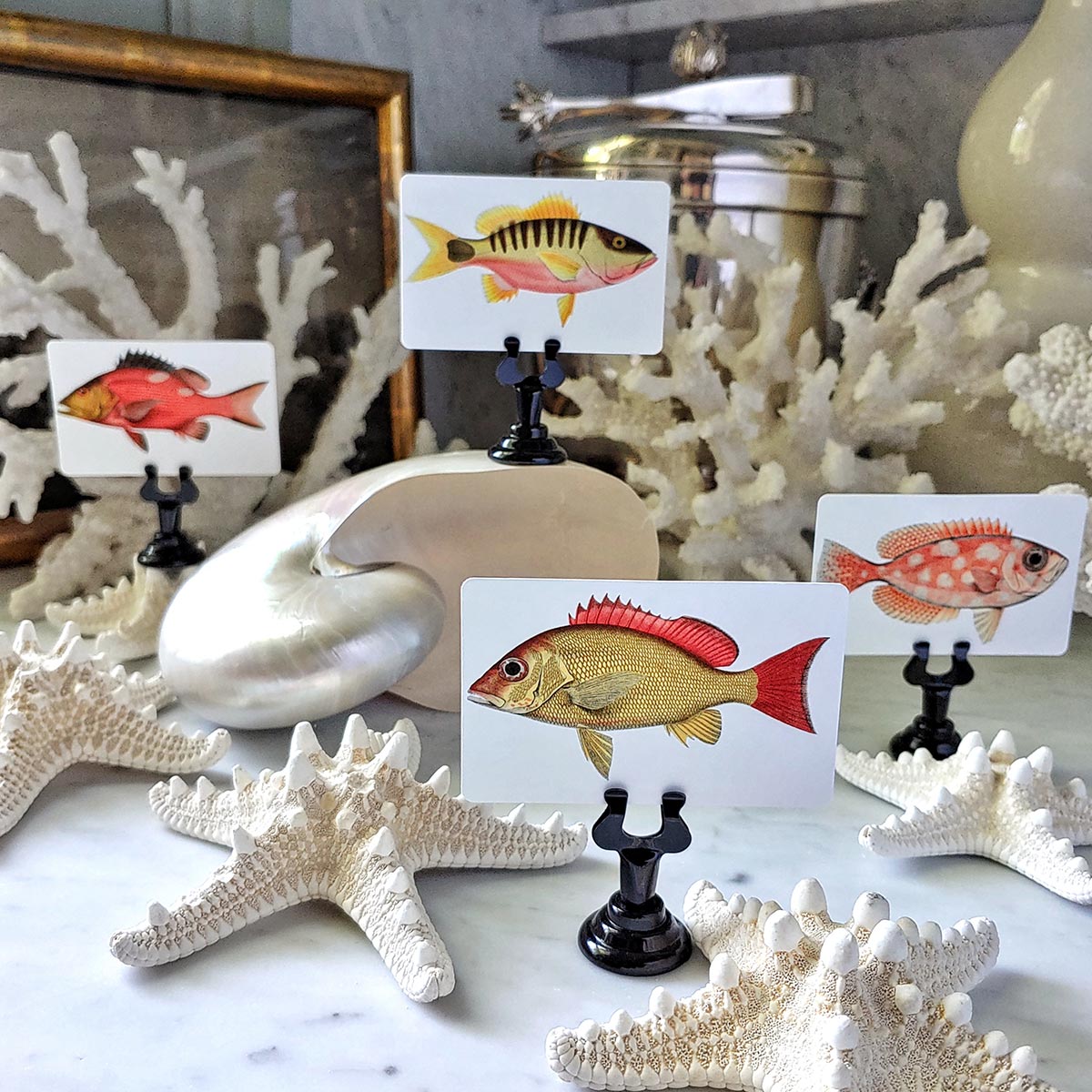 Set/ 16 Snapper Fish Themed custom place cards
