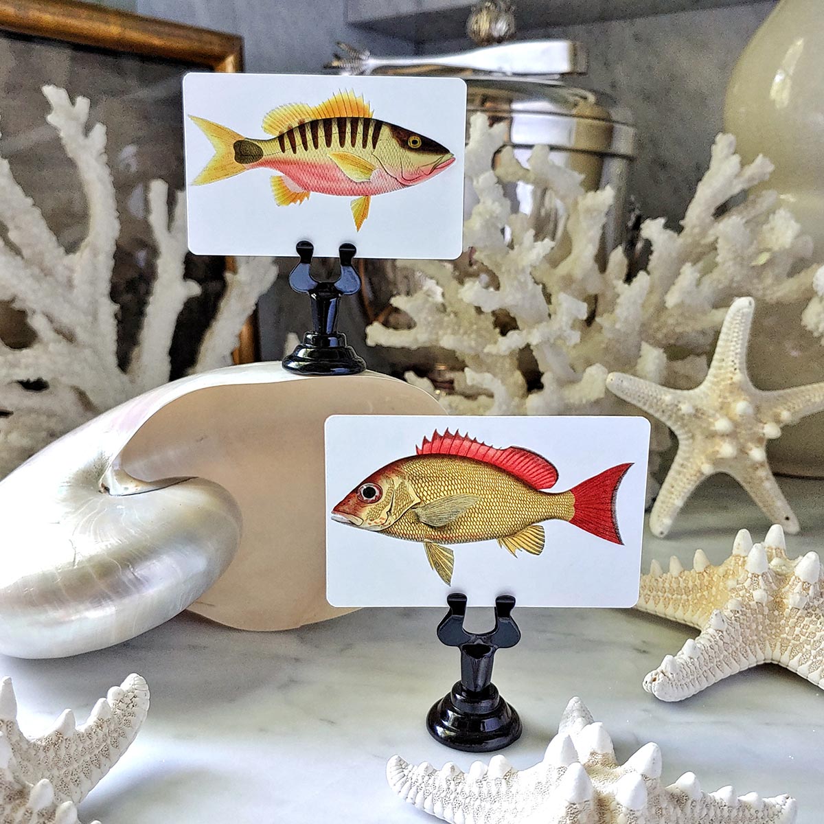 Set/ 16 Snapper Fish Themed custom place cards
