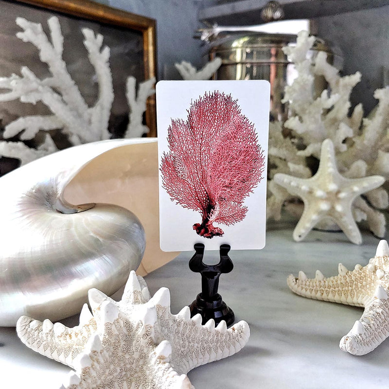 Red Seaweed & Coral - Custom Place Cards - Upright - The Punctilious Mr. P's Place Card Co.