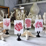 Red Seaweed & Coral - Custom Place Cards - Upright - The Punctilious Mr. P's Place Card Co.