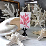 Red Seaweed & Coral - Custom Place Cards - Upright - The Punctilious Mr. P's Place Card Co.