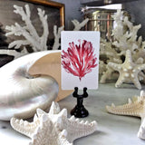 Red Seaweed & Coral - Custom Place Cards - Upright - The Punctilious Mr. P's Place Card Co.