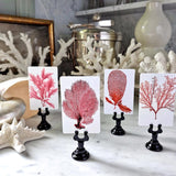 Red Seaweed & Coral - Custom Place Cards - Upright - The Punctilious Mr. P's Place Card Co.