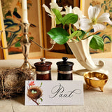 Robin's Eggs - Custom Place Cards - Laydown - The Punctilious Mr. P's Place Card Co.