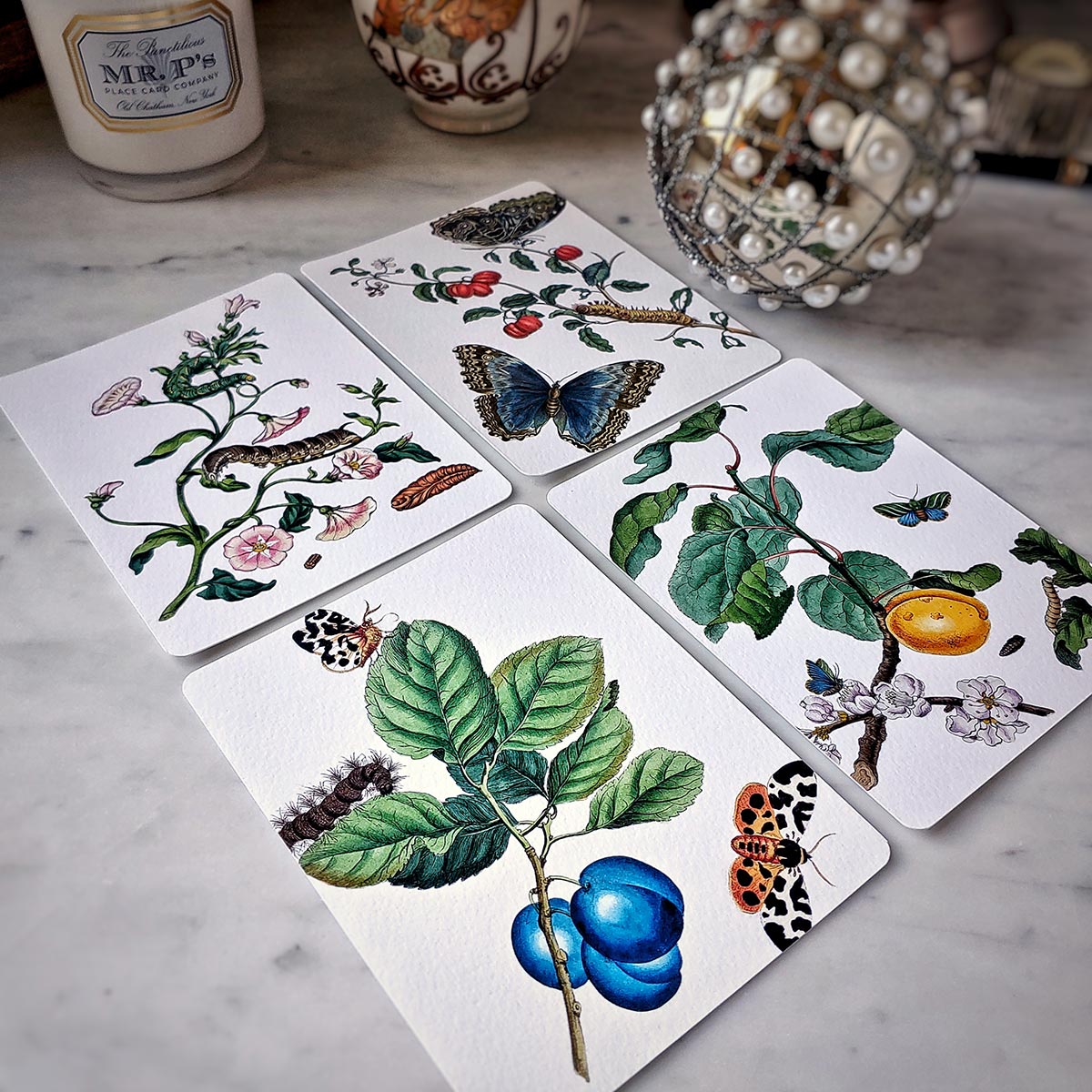 Set/ 12 Signs of Spring Pack of Custom Note Card Set