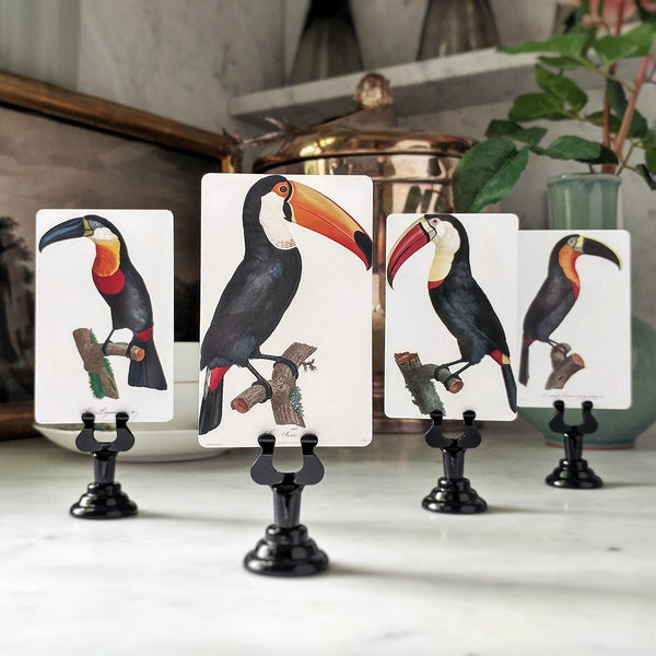 Toucan - Custom Place Cards - Upright - The Punctilious Mr. P's Place Card Co.