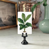 Tropical Foliage - Custom Place Cards - Upright - The Punctilious Mr. P's Place Card Co.