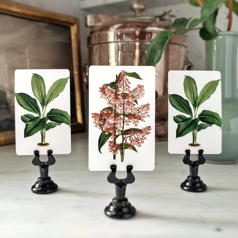 Tropical Foliage - Custom Place Cards - Upright - The Punctilious Mr. P's Place Card Co.