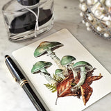 Verdigris Mushrooms - Pack of Custom Note Cards - The Punctilious Mr. P's Place Card Co.