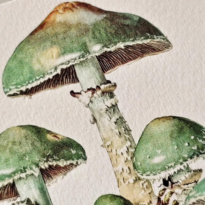 Verdigris Mushrooms - Pack of Custom Note Cards - The Punctilious Mr. P's Place Card Co.