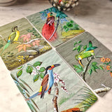 The Punctilious Mr. P's place card co. 'birds of india' custom note card pack featuring all 4 images of the birds