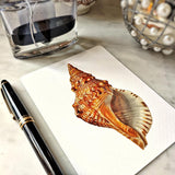 The Punctilious Mr. P's place card co. 'octopodes & conch' personalized custom note card showing a beautiful red conch shell illustration