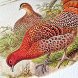 showing a close up detail of the pheasant on The Punctilious Mr. P's Place Card Co. custom note card