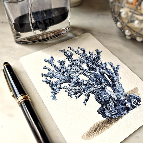 The Punctilious Mr. P's place card co. 'Blue Sea Fan & Coral' custom note card pack featuring a coral illustration