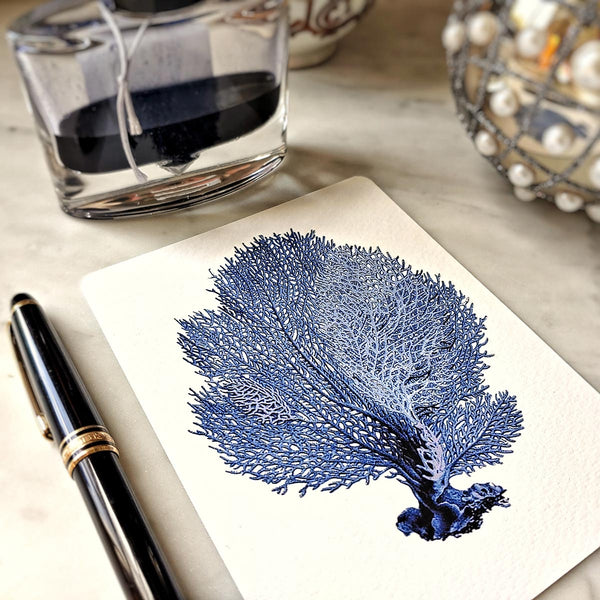 The Punctilious Mr. P's place card co. 'Blue Sea Fan & Coral' custom note card pack featuring a sea fan illustration