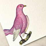 detail of The Punctilious Mr. P's Place Card Co. 'chromatic cuckoo' personalized custom note card showing pink bird