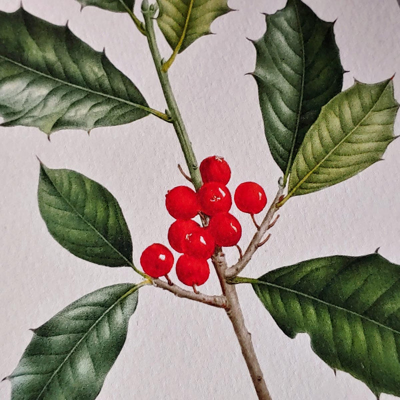 Detail view of The Punctilious Mr. P's Place Card Co. 'Holly' custom note card