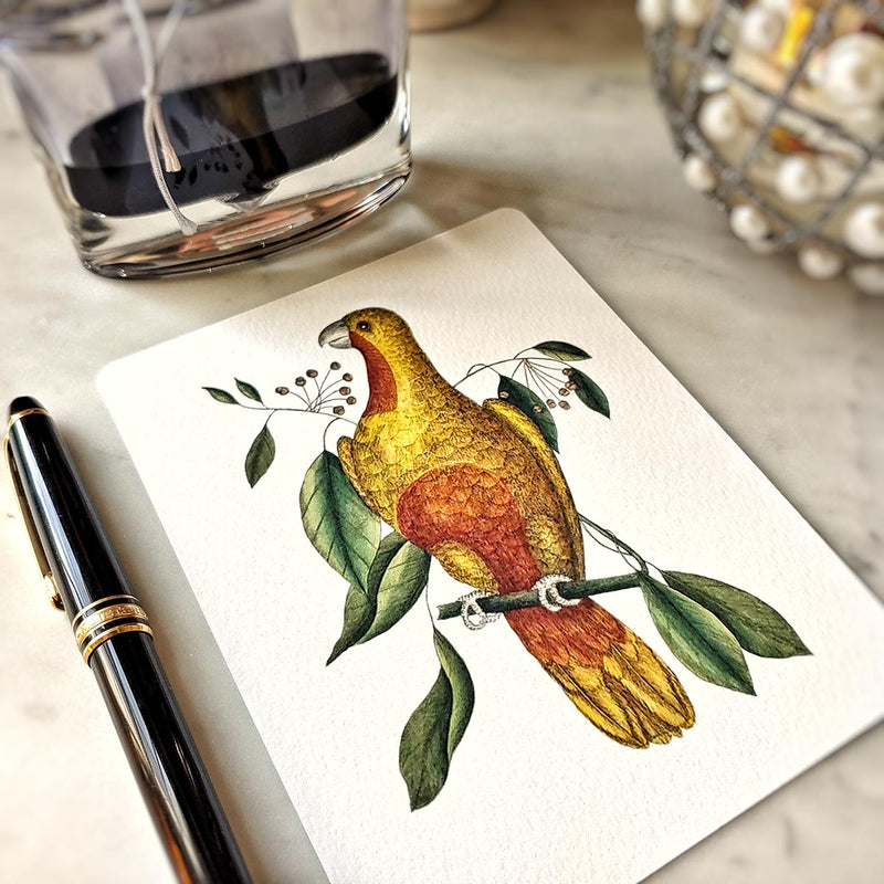 The Punctilious Mr. P's place card co. 'Parakeets' custom note card pack