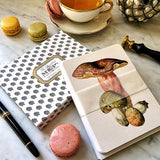 The Punctilious Mr. P's place card co. 'Russula mushroom' custom note card pack in gold folio case