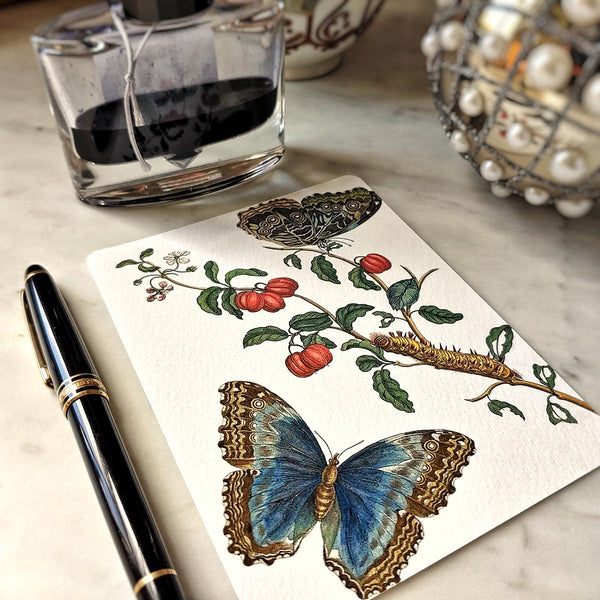 The Punctilious Mr. P's place card co. 'signs of spring' custom note card pack featuring blue butterflies and red fruit