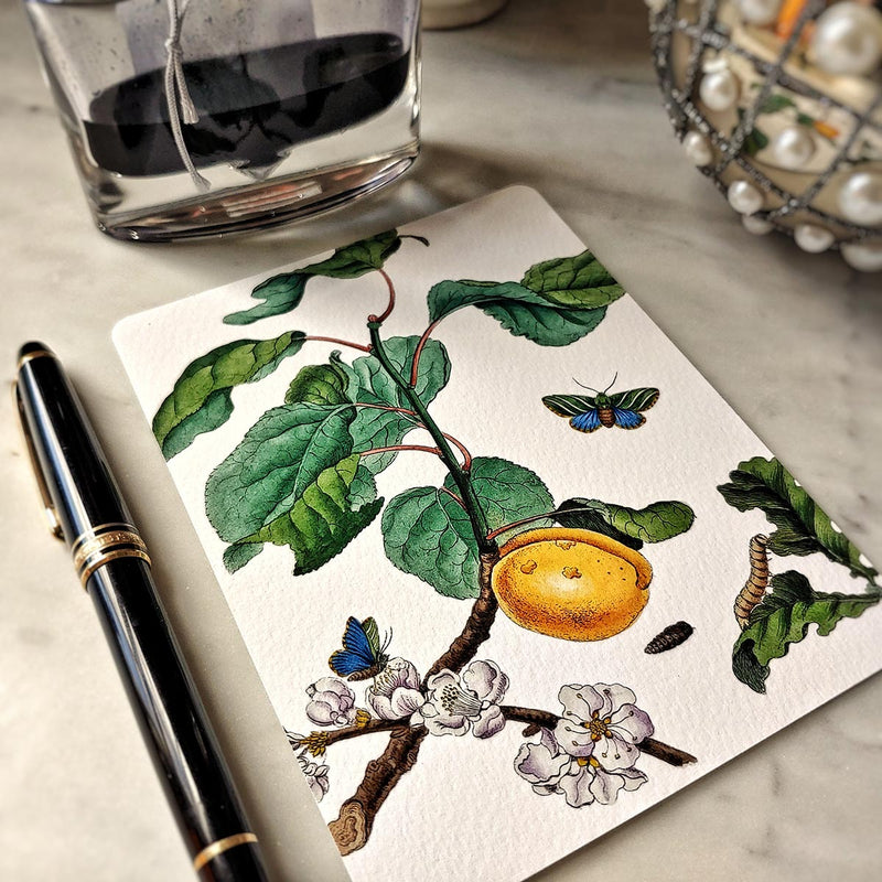 The Punctilious Mr. P's place card co. 'signs of spring' custom note card pack featuring butterflies and yellow fruit