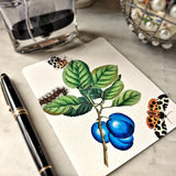 The Punctilious Mr. P's place card co. 'signs of spring' custom note card pack featuring butterflies and blue plum fruit