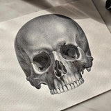 Detail of The Punctilious Mr. P's place card co. 'The Skull' custom note card