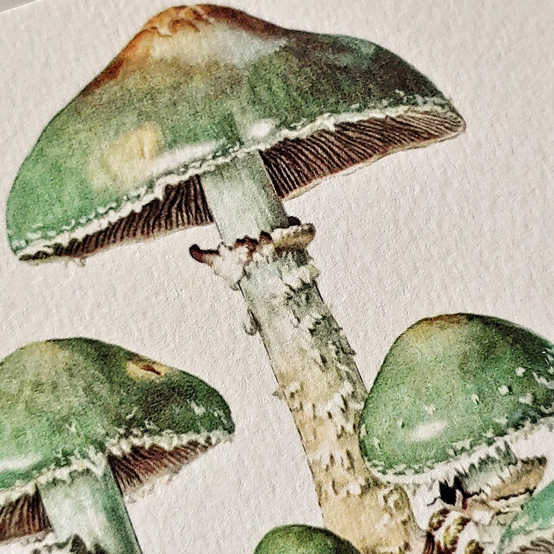 Showing fine detail of the printed green mushroom on watercolor paper mr. p's place card co.