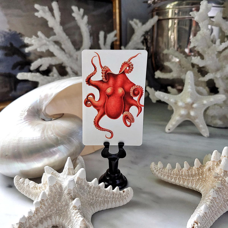 The Punctilious Mr. P's Place Card Co. 'Fiery Mollusks' custom place cards