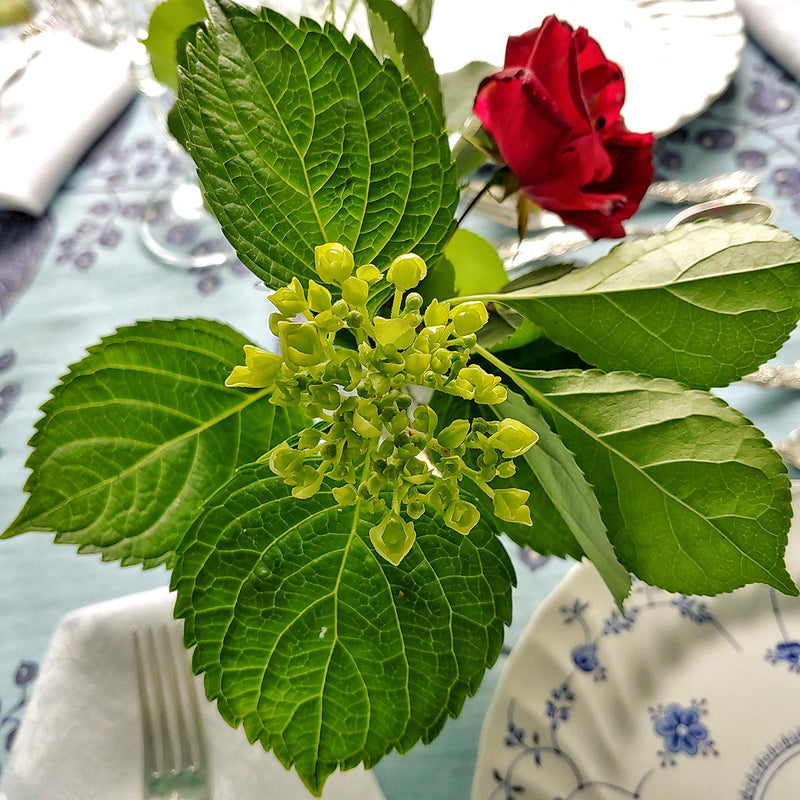 a beautiful green floral arrangement on a marian mcevoy lunch table