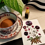 Marian McEvoy x The Punctilious Mr. P's Place Card Co collab with purple pressed poppies botanical illustrated custom note cards on a table with ribbon, cup of coffee and a tube of red lipstick