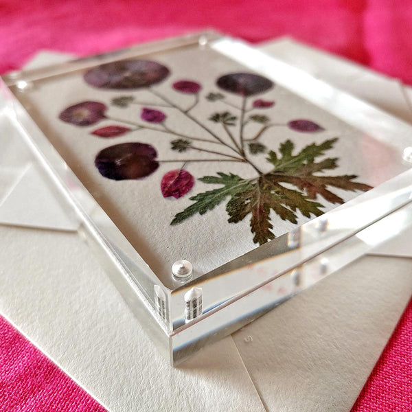 Marian McEvoy x The Punctilious Mr. P's Place Card Co collab pressed poppy botanical motif magnetic acrylic paperweights showing the thickness of the one inch frame