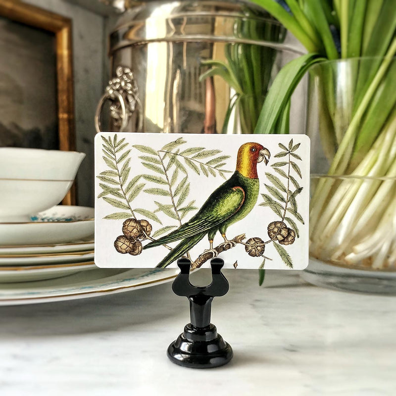 The Punctilious Mr. P's place card co. 'Parakeets' custom place cards