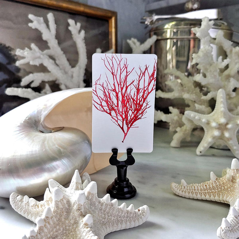 The Punctilious Mr. P's place card co. 'Red Seaweed & Coral' custom place cards