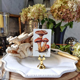 The Punctilious Mr. P's Place Card Co. Red Bands Mushrooms custom place cards