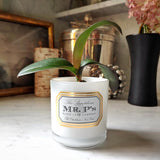 the punctilious Mr. P's place card co. candle jar upcycled with potted plant