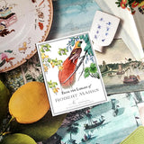 The Punctilious Mr. P's Place Card Co. personalized "Birds of India" motif custom bookplate in the "from the library of" style.